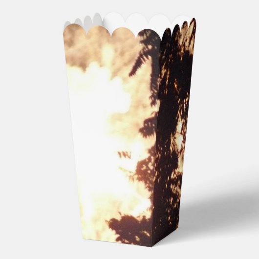 Feuerwerkskörper 15 Popcorn-Schachteln Geschenkschachtel (Vorderseite)