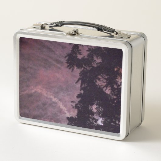 Feuerwerkskörper 16 rostfreie Lunchbox (Vorderseite)