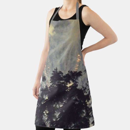 Feuerwerkskörper 19 Koch Schürze (InSitu)