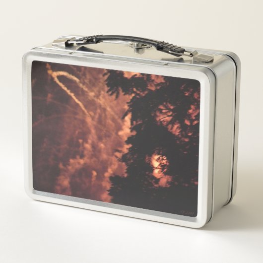 Feuerwerkskörper 20 rostfreie Lunchbox (Rückseite)