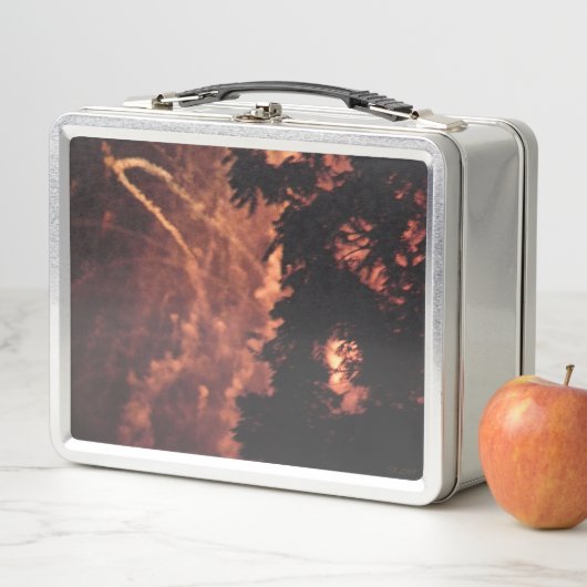 Feuerwerkskörper 20 rostfreie Lunchbox (Beispiel)