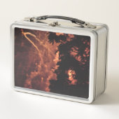 Feuerwerkskörper 20 rostfreie Lunchbox (Vorderseite)