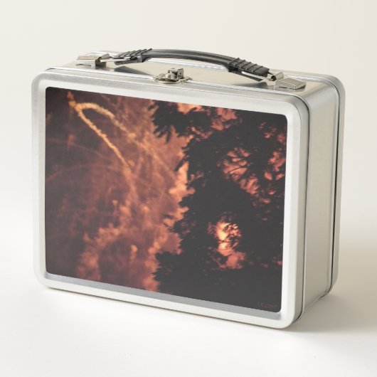 Feuerwerkskörper 20 rostfreie Lunchbox (Vorderseite)