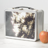 Feuerwerkskörper 2 rostfreie Lunchbox (Beispiel)