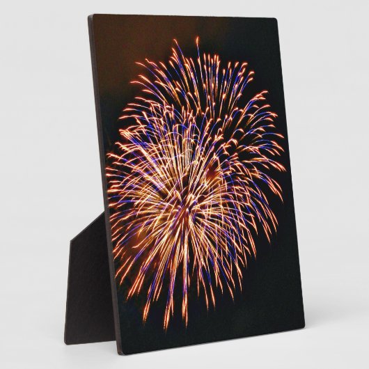 Feuerwerkskörper Fotoplatte (Seite)