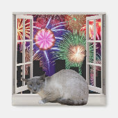 Feuerwerkskörper Magnet (Vorne)