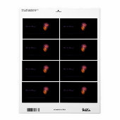 Feuerwerkskörper P3621, Book Label (Vorne)