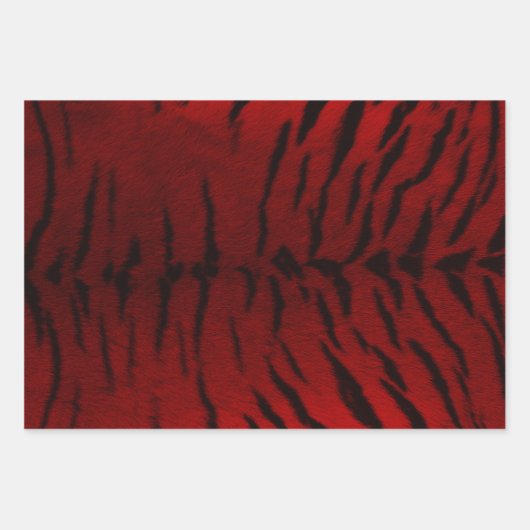 Feuerzähmung Geschenkpapier Set (Vorderseite 2)