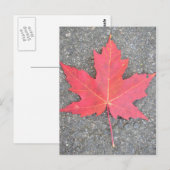 Feuille morte postkarte (Vorne/Hinten)