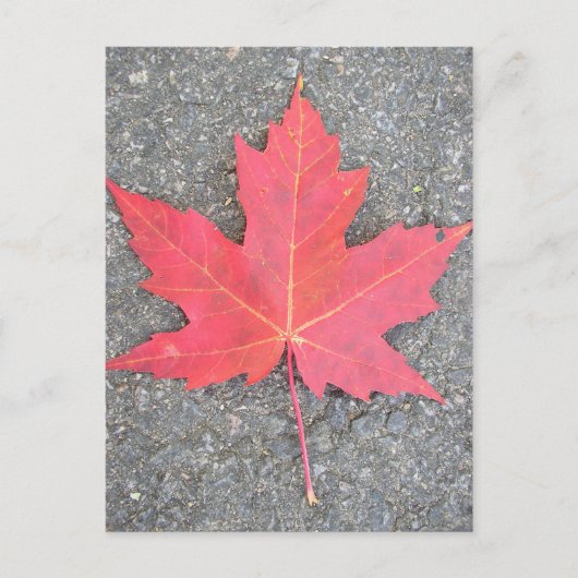 Feuille morte postkarte (Vorderseite)