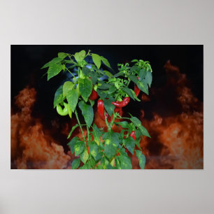 Feurige heiße Chili. Poster