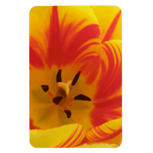 Feurige Tulpe Premium Magnet