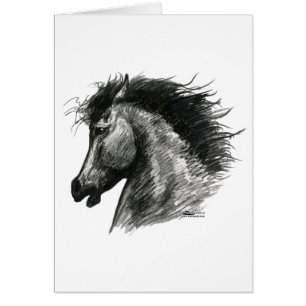 Feuriges Wildpferd