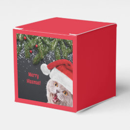 Fevor Box, Merry Hissmas Geschenkschachtel