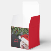 Fevor Box, Merry Hissmas Geschenkschachtel (Geöffnet)