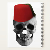 Fez of the Effendi: Ein ägyptisches Märchen eines Planer (Rückseite)