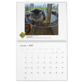 FFLA Aussichtskalender 2026 Kalender (Jan 2027)