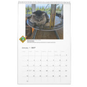 FFLA Calendar 2026 Kalender (Jan 2027)