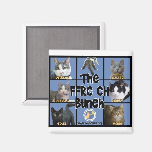FFRC CH Bunch Magnet (Vorderseite/Rückseite)
