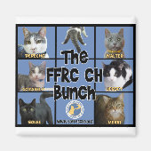 FFRC CH Bunch Magnet (Vorne)