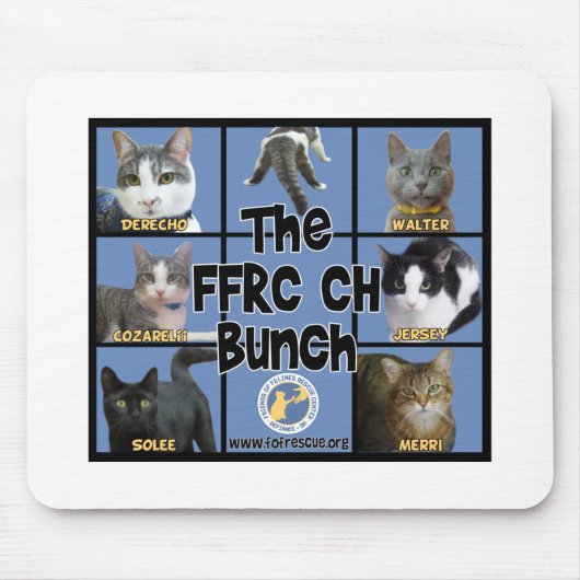 FFRC CH Bündel Mousepad (Vorne)