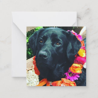 Fia Flower Dog mit floralem Halsband Notizkarte Mitteilungskarte