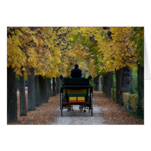 Fiaker in Schönbrunn, Wien Österreich