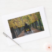 Fiaker in Schönbrunn, Wien Österreich Rechteckiger Aufkleber (Umschlag)