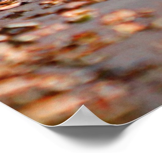 Fiat 500 poster (Ecke)