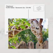 fiberlisch postkarte (Vorne/Hinten)