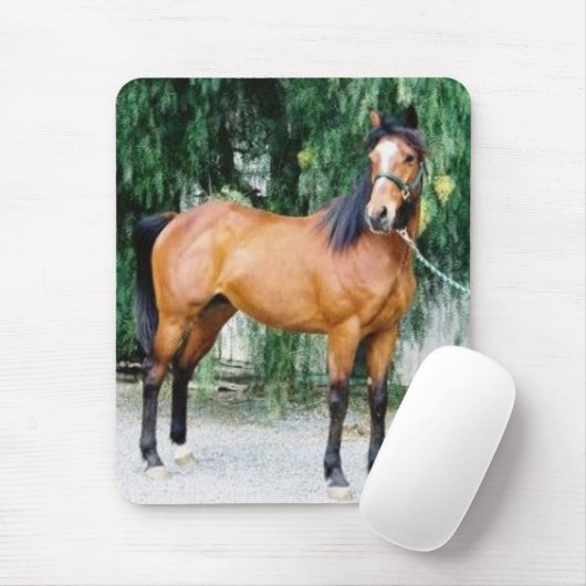 Fibonacci Mousepad (Mit Mouse)