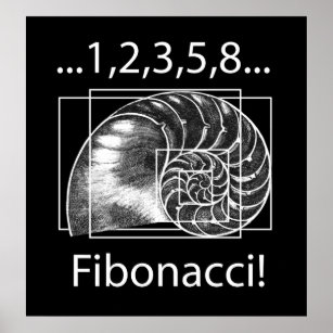 Fibonacci Poster