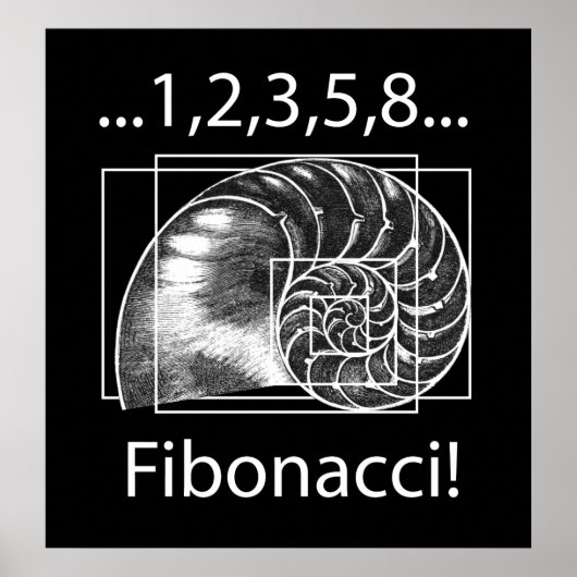 Fibonacci Poster (Vorne)