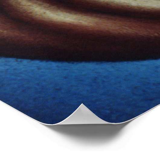 Fibonacci Poster (Ecke)