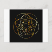 Fibonacci Spiral - Die heilige Geometrie