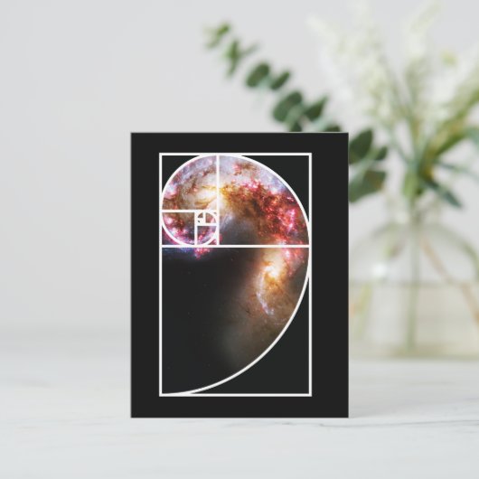 Fibonacci Spiral Galaxy Postkarte (Stehend Vorderseite)
