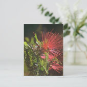 Fibred Red Blume Postkarte (Stehend Vorderseite)