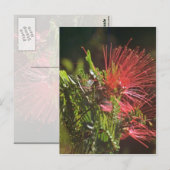 Fibred Red Blume Postkarte (Vorne/Hinten)