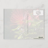 Fibred Red Blume Postkarte (Rückseite)