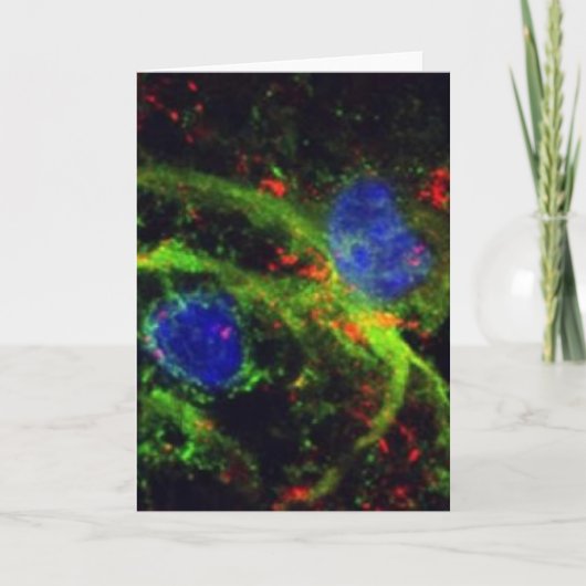 fibrinogen greeting card karte (Vorderseite)