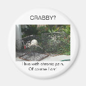 Fibromyalgie Magnet (Vorne)