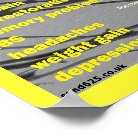 Fibromyalgie Symptome Poster (Ecke)