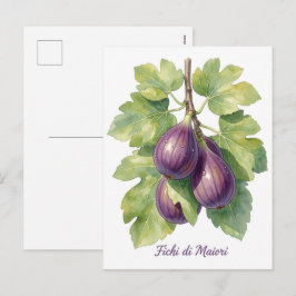 Fichi di Maiori – Italienische Feige Amalfi Coast  Feiertagspostkarte