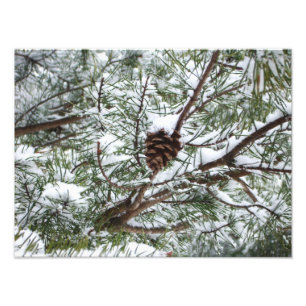 Fichtenzapfen im Schnee II Winter Naturfotografie Fotodruck