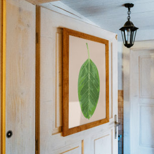 Ficus altissima 'Gelbes Gem' Blatt Poster