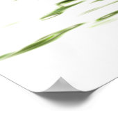 Ficus bonsai poster (Ecke)