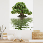 Ficus bonsai poster (Küche)