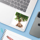 Ficus Ginseng Aufkleber (Laptop mit iPhone)