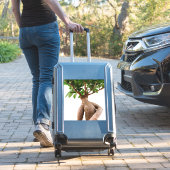 Ficus Ginseng Aufkleber (Koffer Insitu)