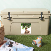 Ficus Ginseng Aufkleber (Kühler)